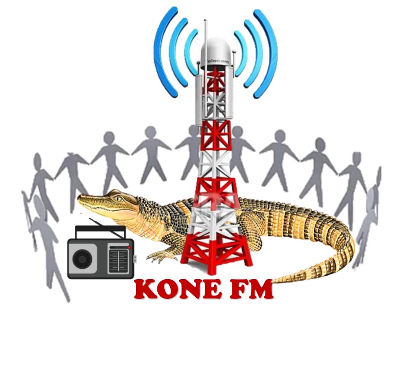 Radio Koné FM