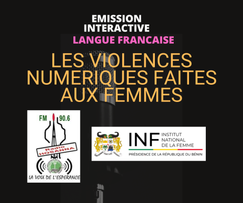 LES VIOLENCES NUMERIQUES FAITES AUX FEMMES EN FRANCAIS